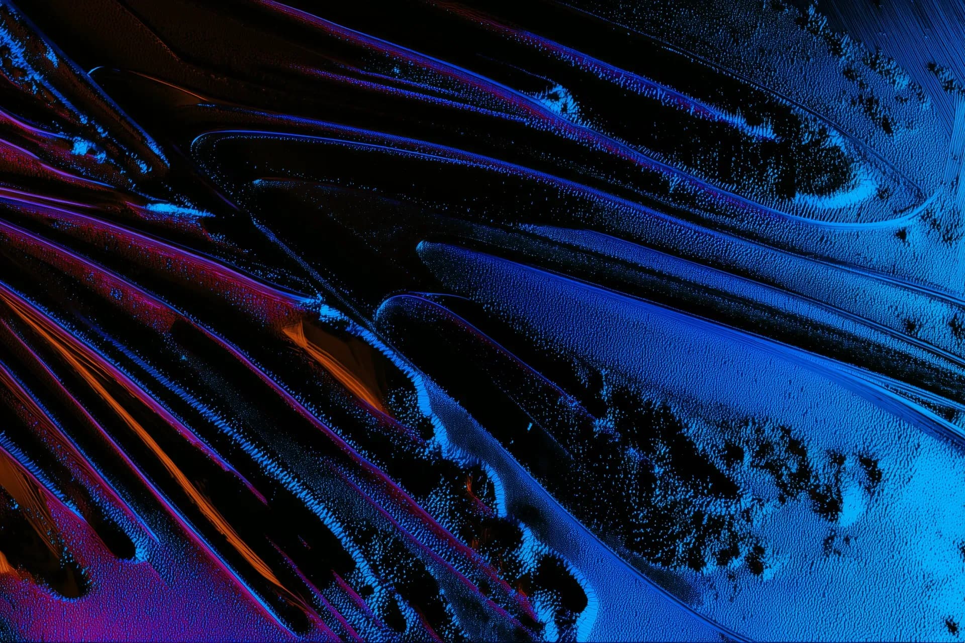 Custom AI Models trained on proprietary data