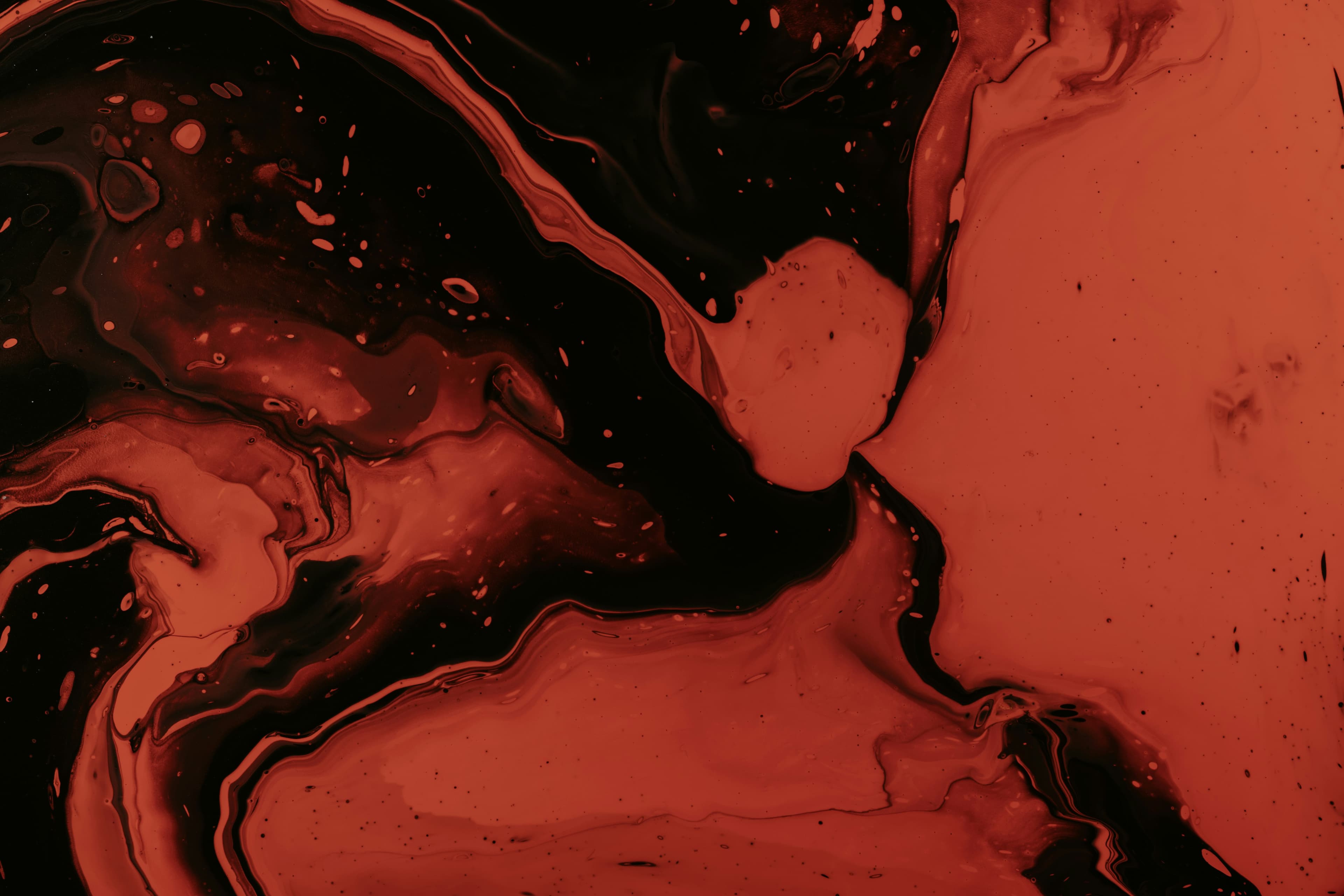 Custom AI Models trained on proprietary data